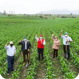 Desarrollo agrario y regional